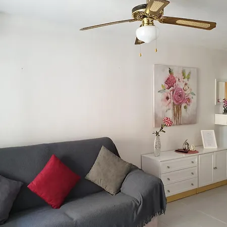 Homely Playa Acequion Apartment