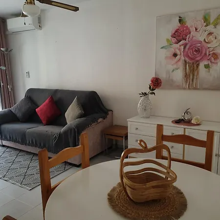 Apartment Homely Playa Acequion